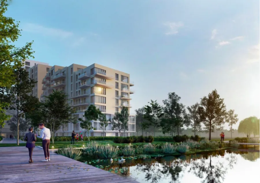 Lakefield – imagine 6