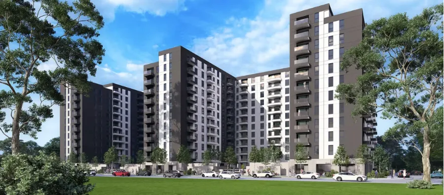 Triumph Real Estate 