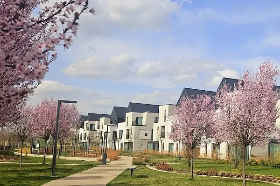 Avalon Estate – imagine 7