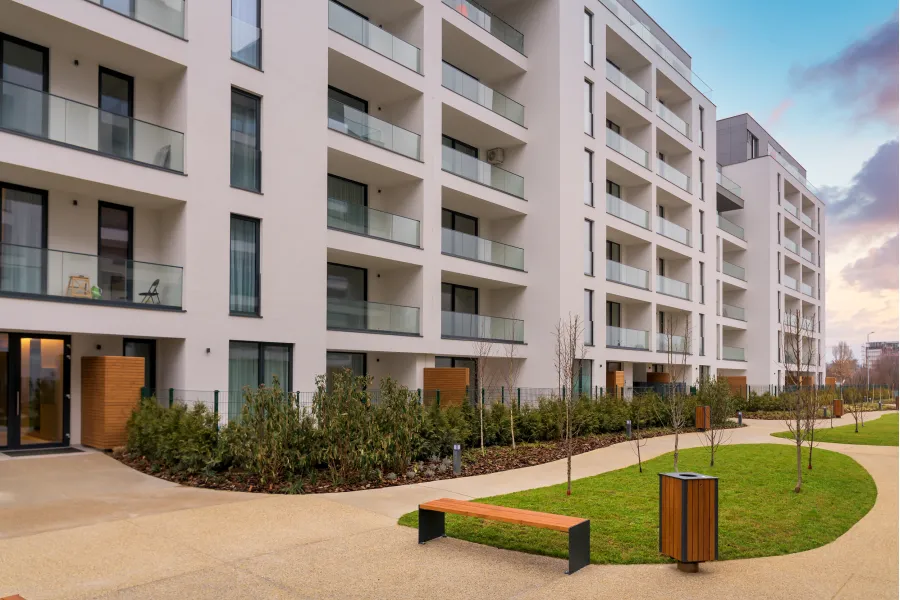 The Ivy  – imagine 5